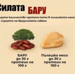 Ядки БАРУ - Image 3